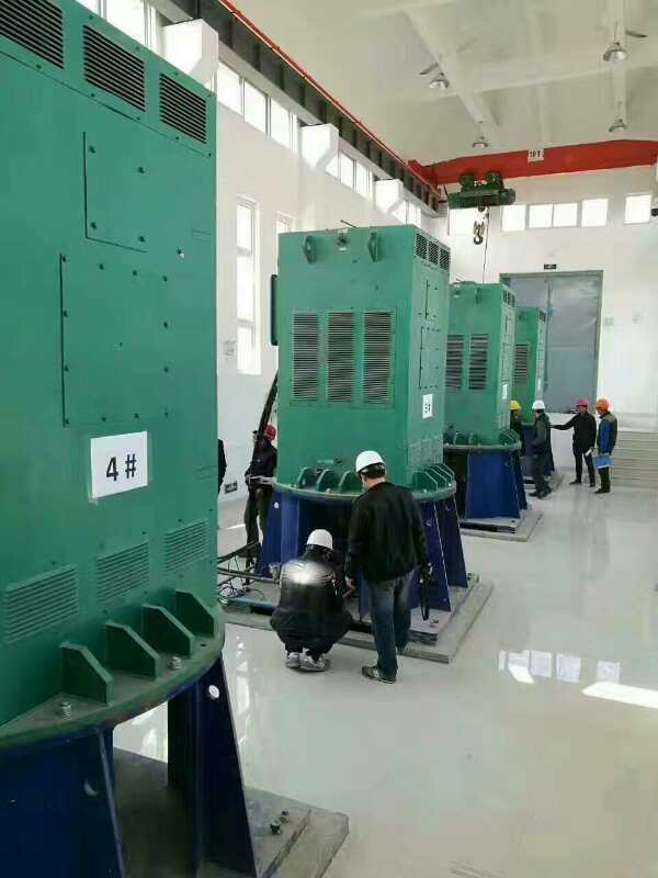 贵港某污水处理厂使用我厂的立式高压电机安装现场